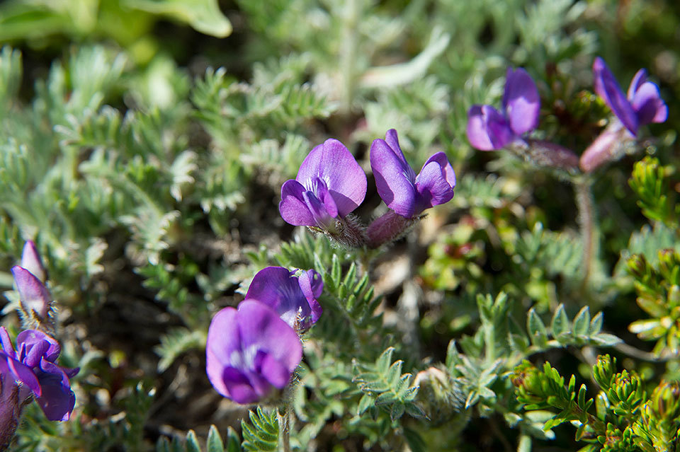 f0109977_20163290.jpg