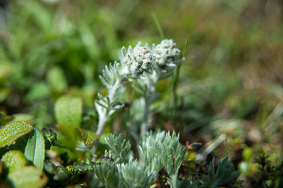 f0109977_20165442.jpg