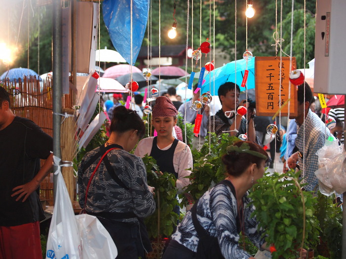 浅草寺　　　雨のホウズキ市_a0085679_1915989.jpg