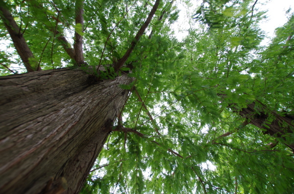 c0324382_20131022.jpg