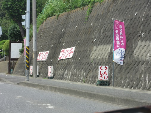 倶楽部の夏合宿（オフ会）に逝ってきました（日曜日編） _c0360684_1633017.jpg