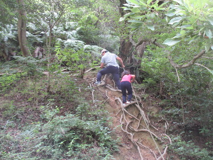 f0053885_20441750.jpg