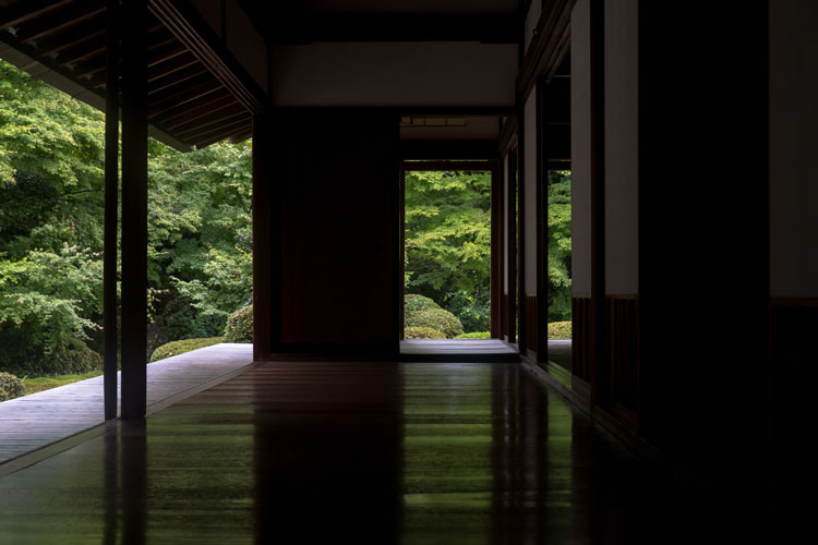 源光庵_e0051888_4131481.jpg