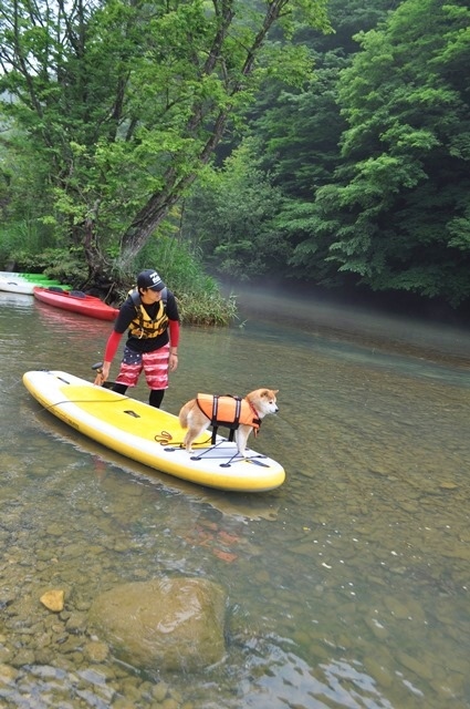 板室ダム湖でカヌー!②_a0126590_20495394.jpg
