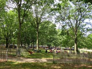 b0209691_14542122.jpg