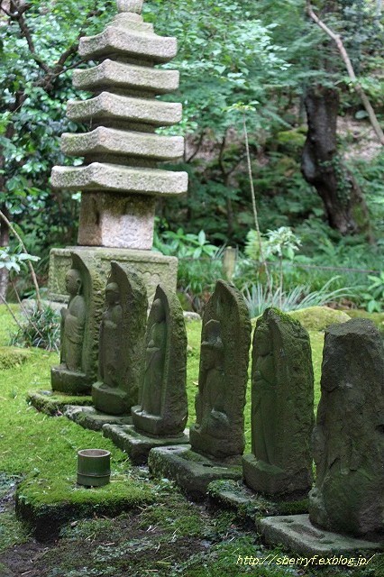 報国寺　②竹の庭と半夏生_c0087094_22363048.jpg