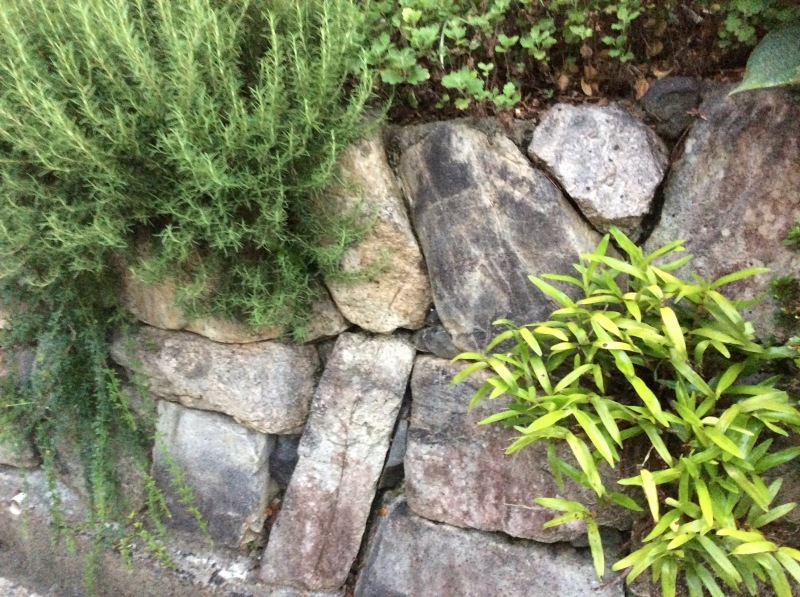 b0220002_19265428.jpeg