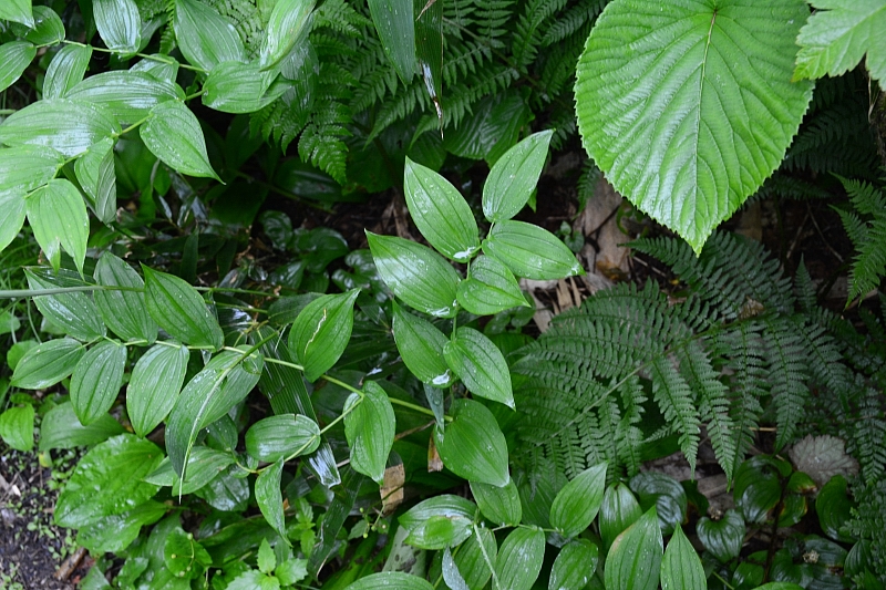 a0248508_8271686.jpg