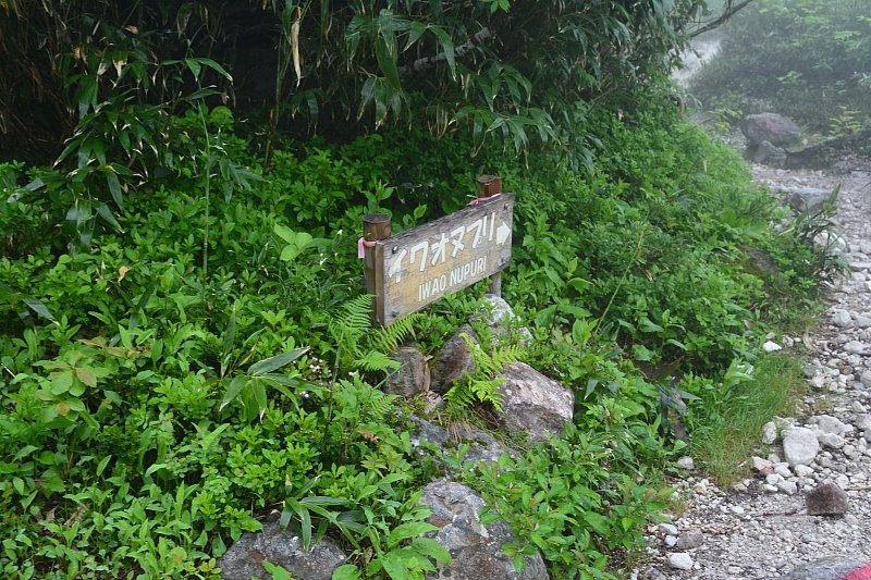 a0248508_827394.jpg