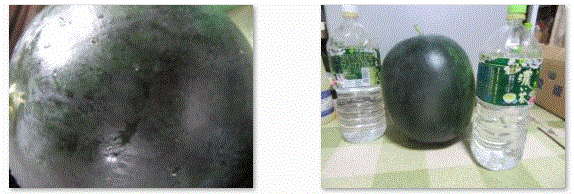 f0231709_9275682.gif