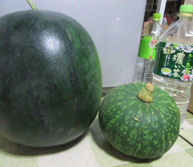 f0231709_929723.gif
