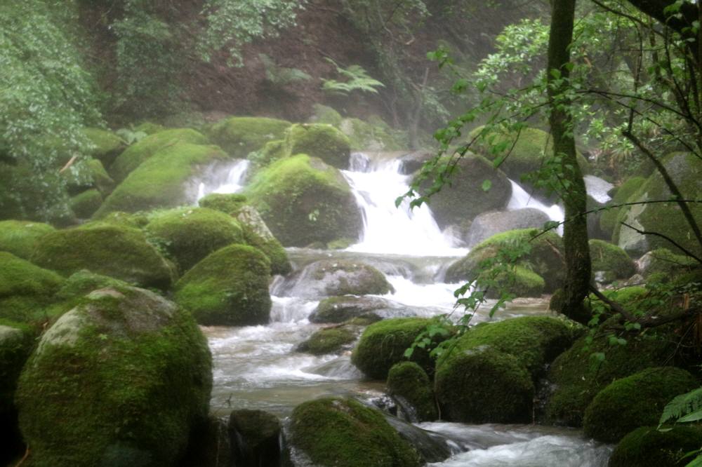 蛤岳・脊振山の九州自然歩道歩き_f0212511_2357343.jpg