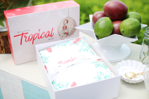 My Little Tropical Box in Hokkaido!_d0063314_114861.jpg