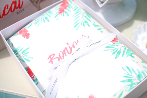 My Little Tropical Box in Hokkaido!_d0063314_125836.jpg