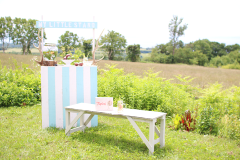 My Little Tropical Box in Hokkaido!_d0063314_8481372.jpg