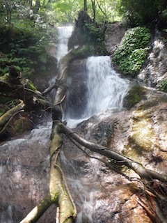c0359615_22233894.jpg