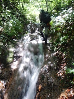 c0359615_22404312.jpg