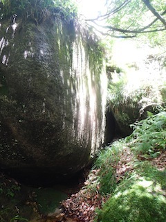 c0359615_22411051.jpg