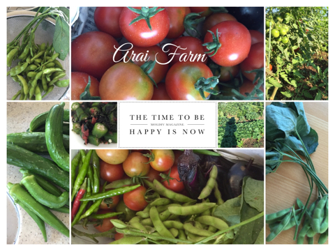 Arai Farm_d0049817_10112637.jpg