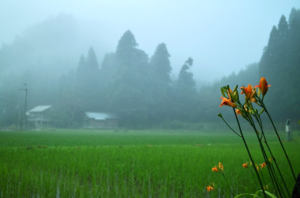 気温20℃で霧の朝に・・・朽木小川・気象台より_c0044819_632443.jpg