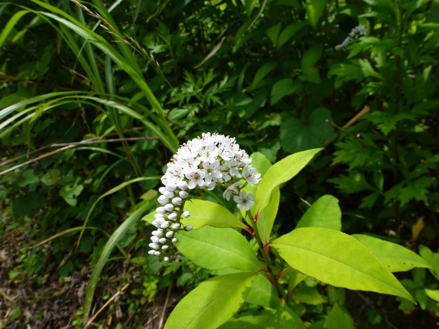 f0147828_74538.jpg