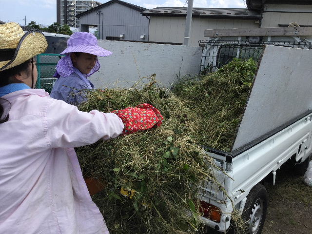 賃貸物件の駐車場 1440坪分の除草剤と22755歩_f0031037_18582935.jpg