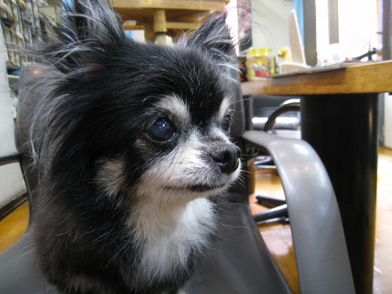 f0154751_03820.jpg