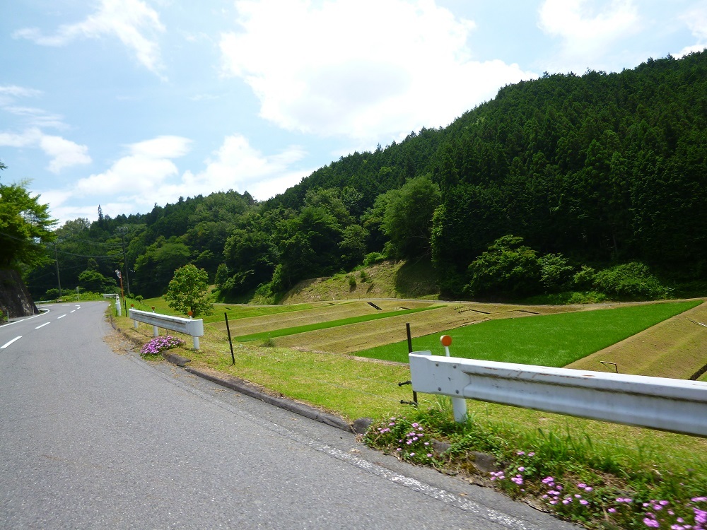 中津川の山の中のカフェ　日天月天_c0294553_11393370.jpg