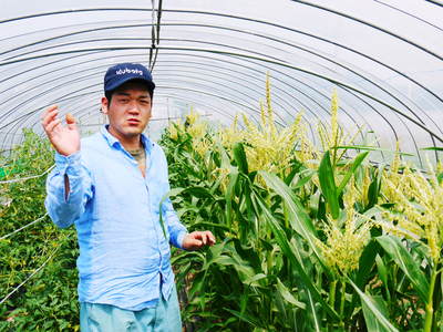 平成29年の白いとうもろこしの販売に向け、岡山農園さんの挑戦!その2_a0254656_18184448.jpg