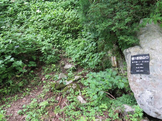 c0116856_1950530.jpg