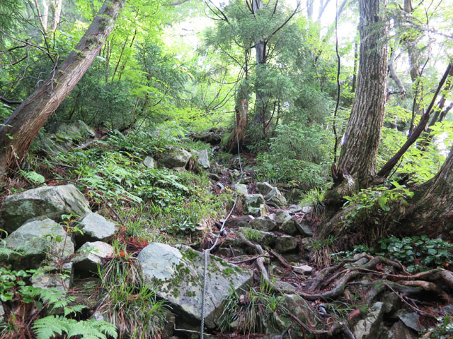 c0116856_1951060.jpg