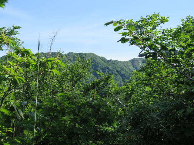 c0116856_19572162.jpg