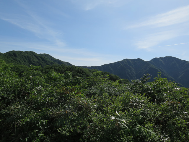 c0116856_19595588.jpg