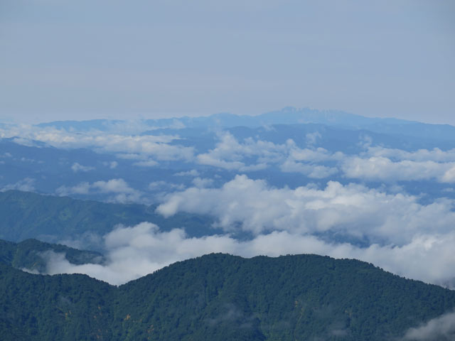 c0116856_2012966.jpg