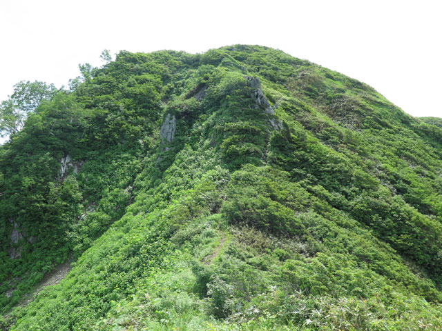c0116856_2044091.jpg
