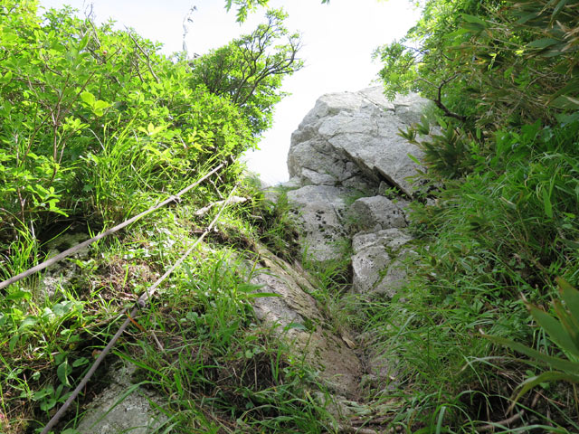 c0116856_2045435.jpg