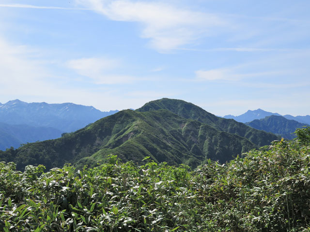 c0116856_208514.jpg