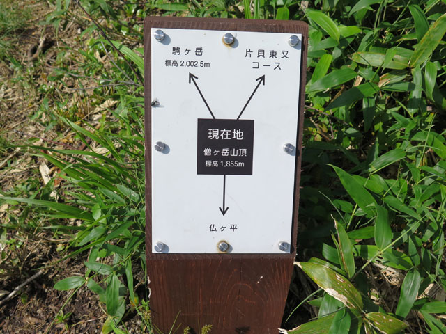 c0116856_209361.jpg