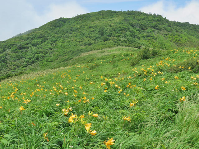 c0116856_2115425.jpg