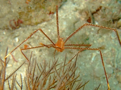 「記念DIVE!」_b0033573_18472768.jpg