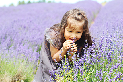 Lavender fields @ Cotswolds_b0327376_01581917.jpg