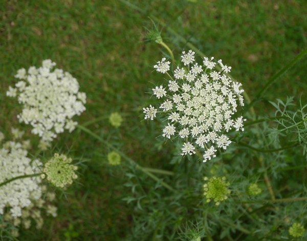 b0018682_221381.jpg