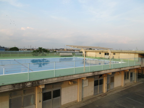7月11日 月 プールの更衣室にすのこが タンポポ先生の日記 7月11日 月 プールの更衣室にすのこが タンポポ先生の日記