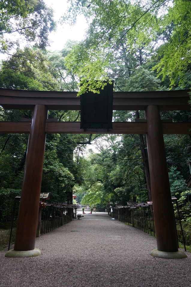 b0178388_838355.jpg