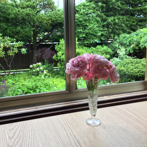 薔薇切り取り_d0204189_07225375.jpg