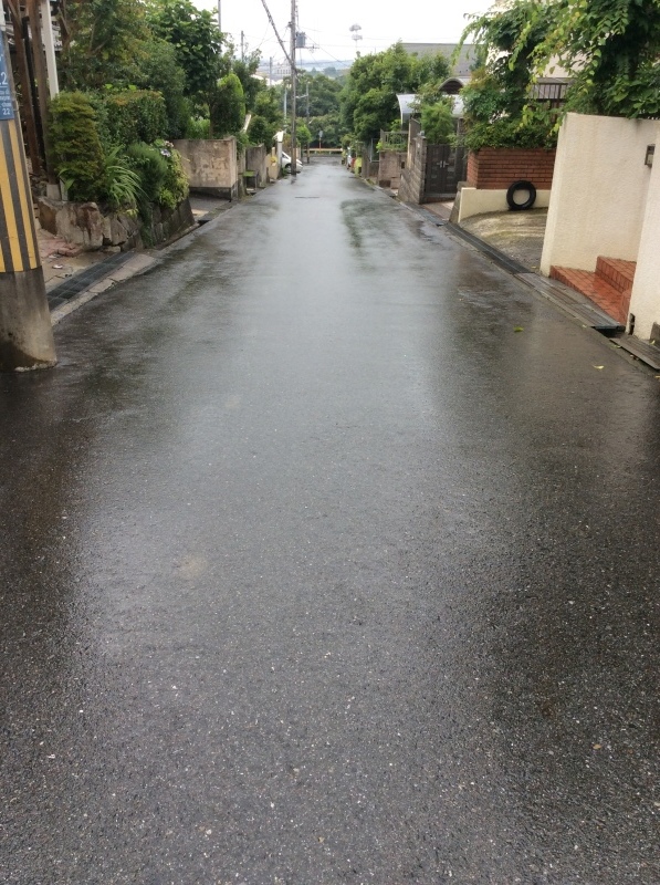b0220002_10143699.jpeg