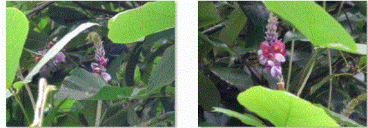 f0231709_259589.gif