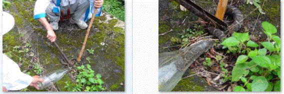 f0231709_3385233.gif