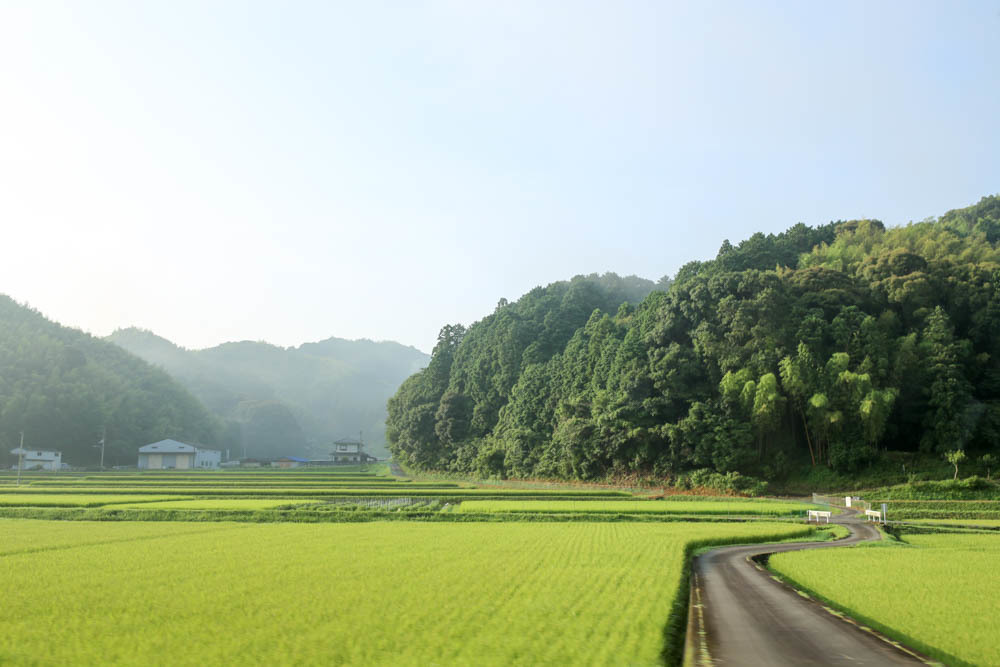 ７月１１日　徳島・内妻へサーフィン_c0358110_00383803.jpg