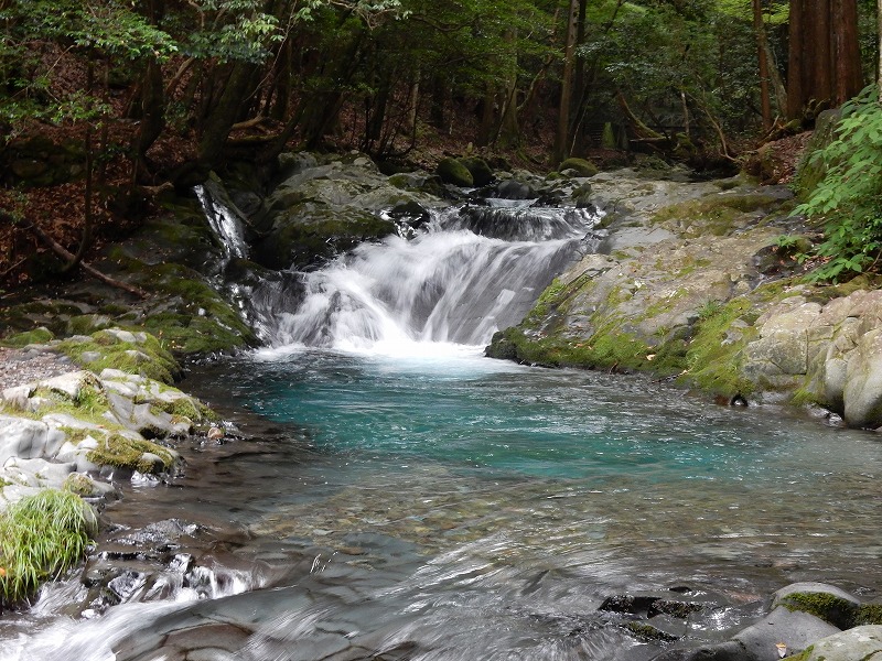 f0182513_23182448.jpg